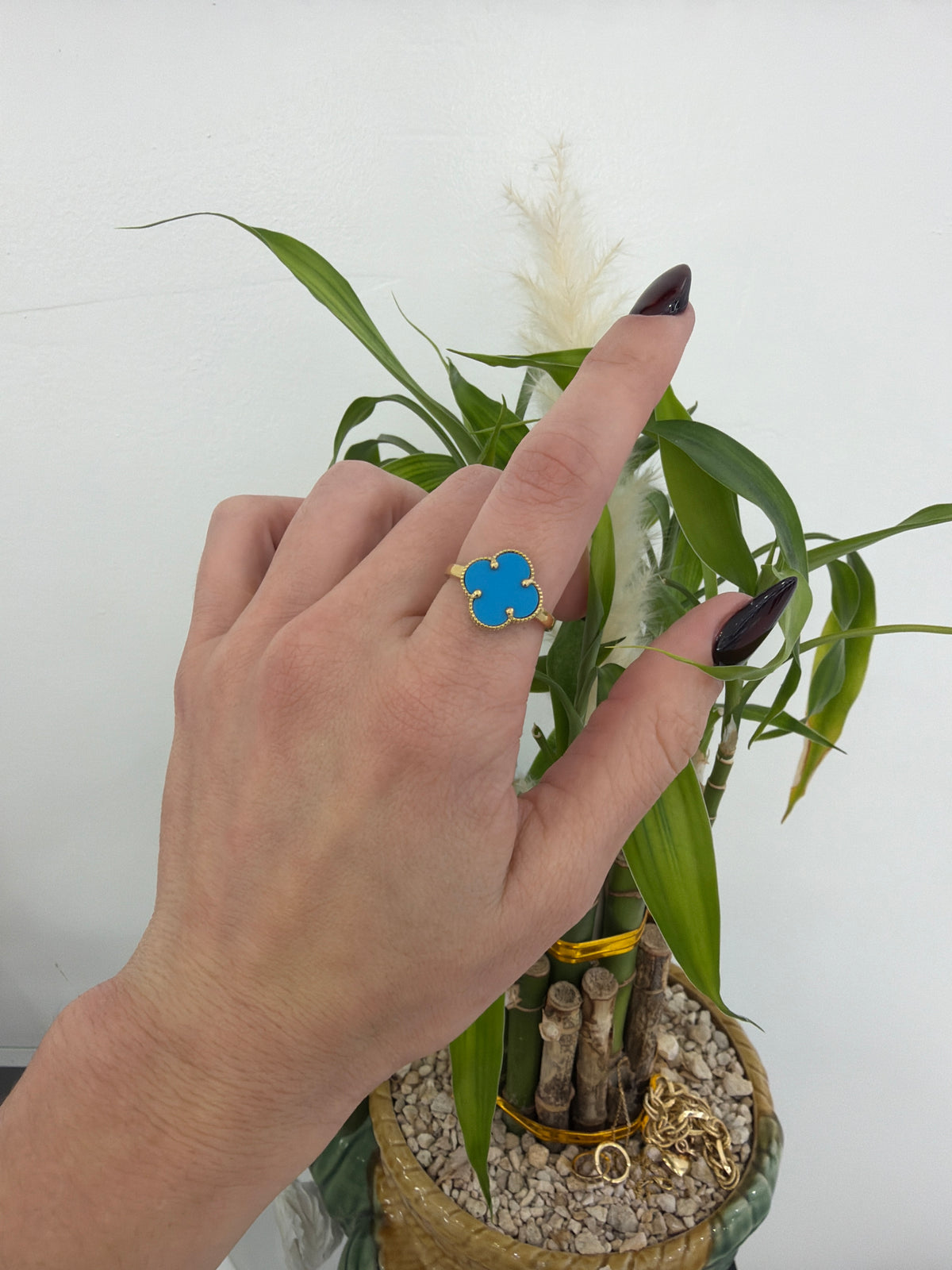 Anillo Azul