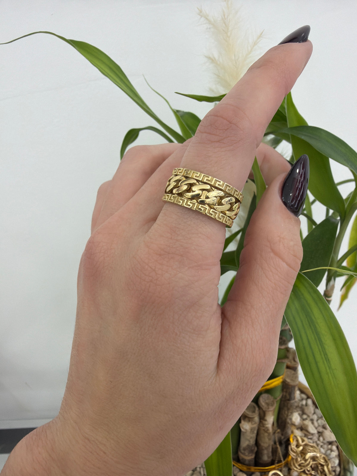 Anillo Giratorio